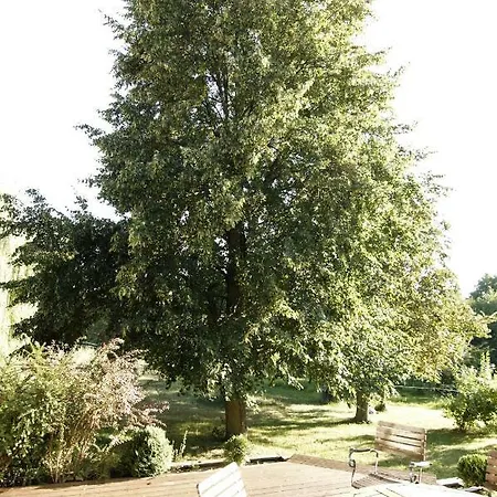 Hoffmannowka بيت للعطل Osetno